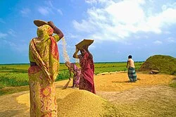 Nabanna (Harvest Festival)