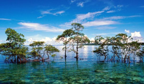 The largest union territory in India