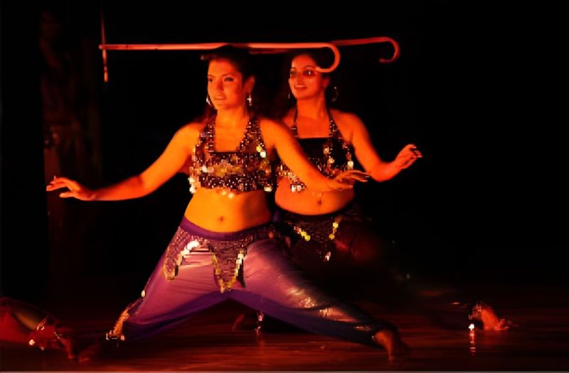 Grace in Motion: Payal Gupta’s Extraordinary Dance Feat Inspires Many